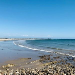 Meet your Posher, Lupe